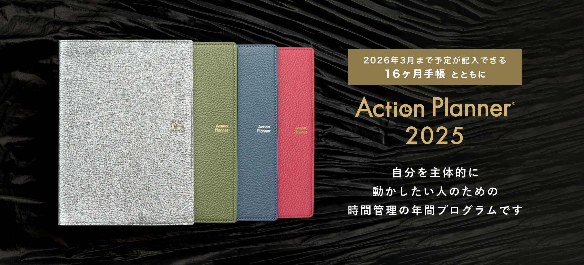 Action Planner 2025